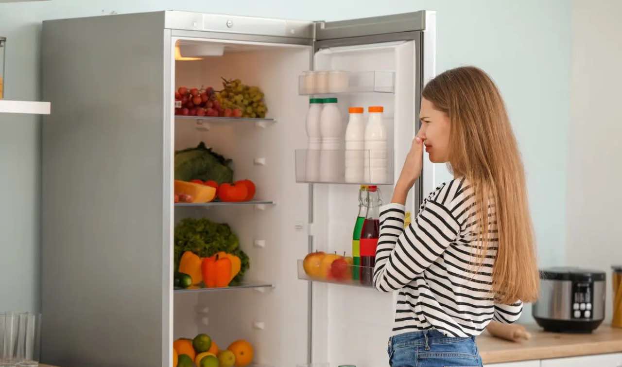 Cattivi odori dal frigorifero