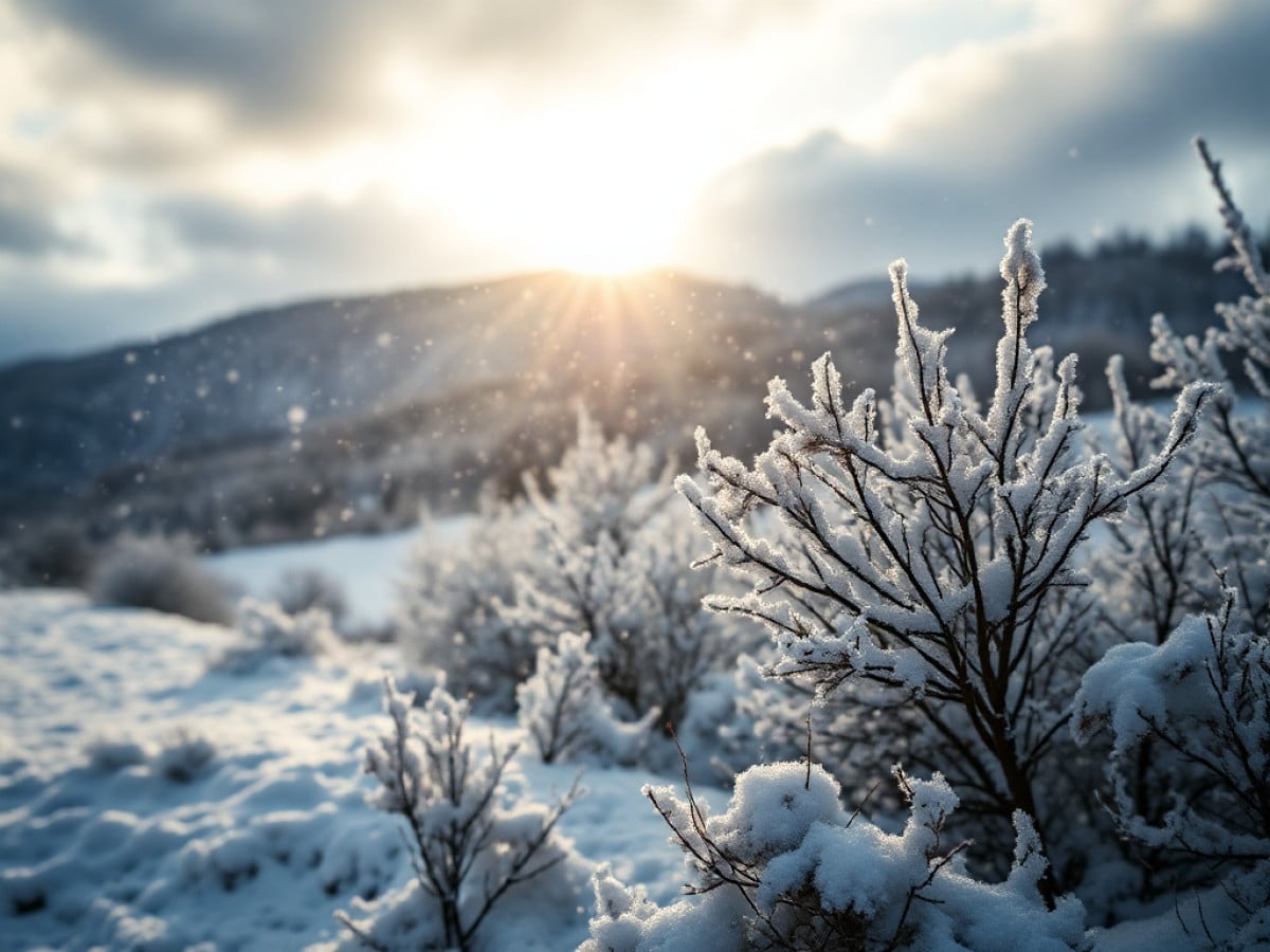 Previsioni meteo, weekend ancora mite e soleggiato. Da lunedì arrivano pioggia, freddo e neve