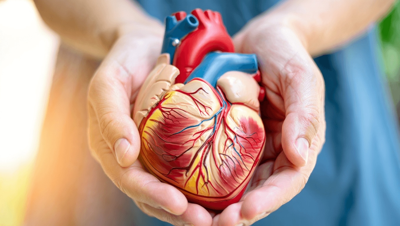 9 abitudini da seguire per avere un cuore sano