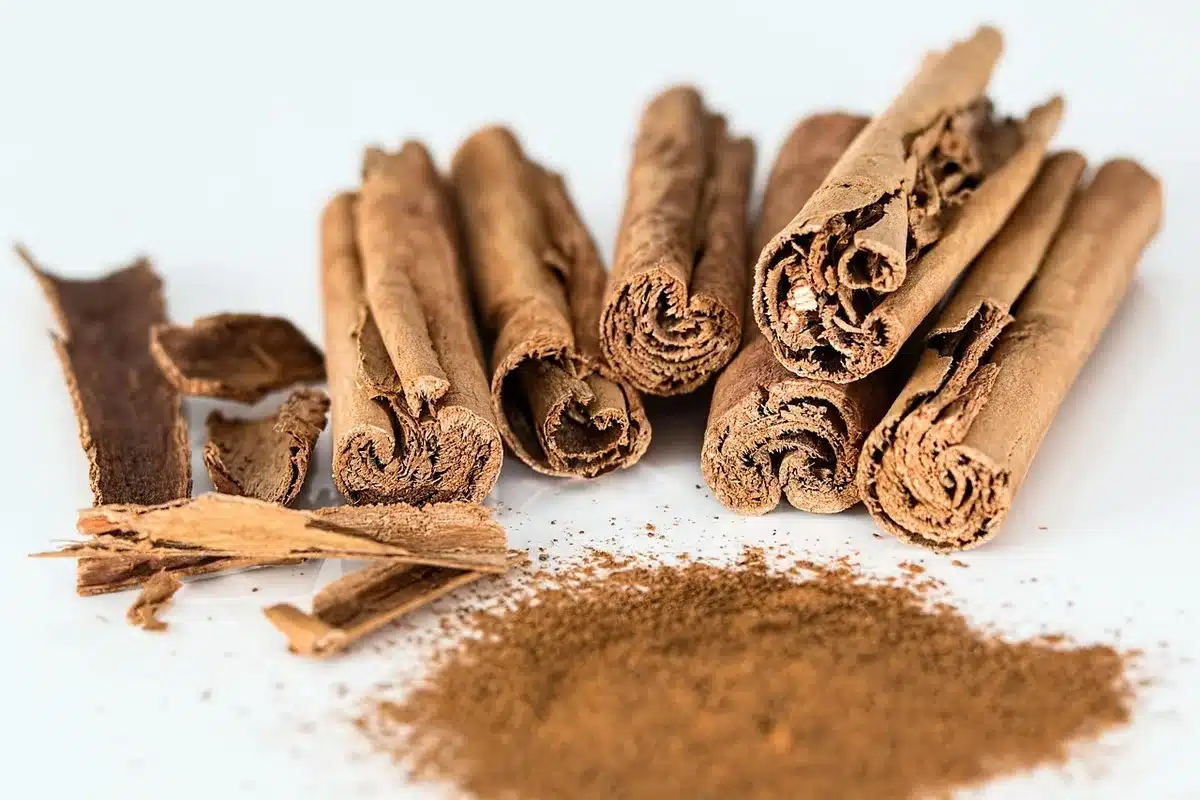 Polvere di cannella e bacchette di cannella con composti antiossidanti visibili