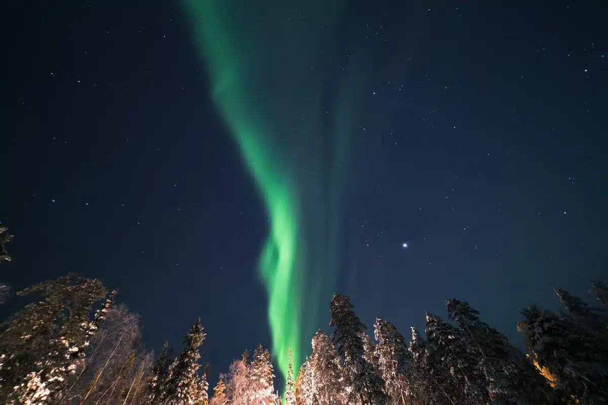 Aurora boreale che illumina il cielo notturno sopra una foresta innevata in Lapponia