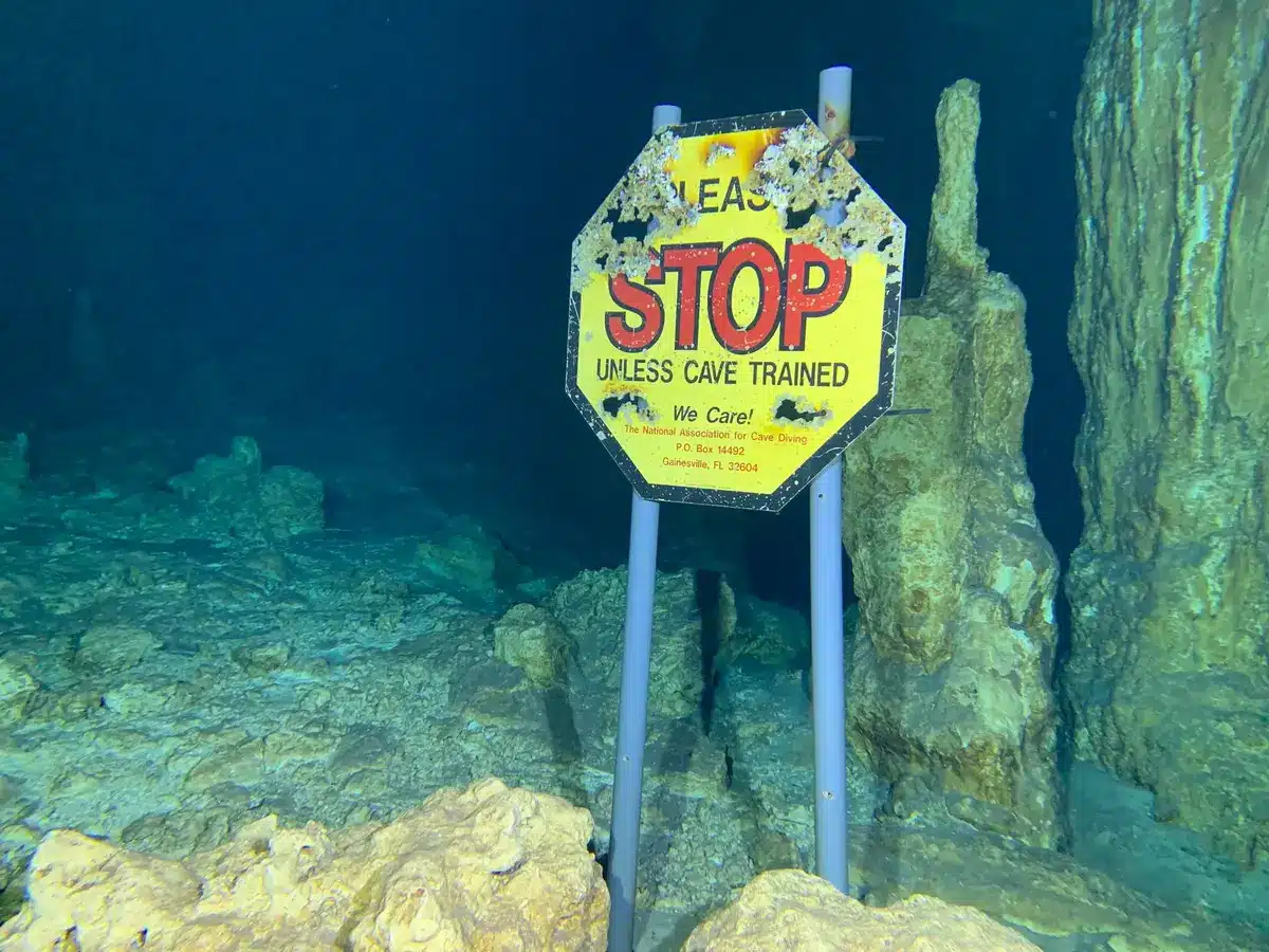 Interno di una piscina con grotte artificiali e piattaforme per allenamenti subacquei